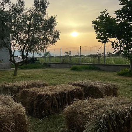 Shkodra אתר קמפינג Omaraj