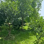 Campingplatz Shkodra *