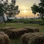 Shkodra Campingplatz Omaraj