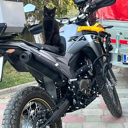 Shkodra Omaraj