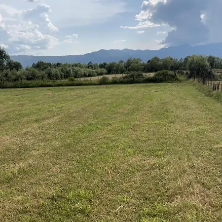 Shkodra Camping *
