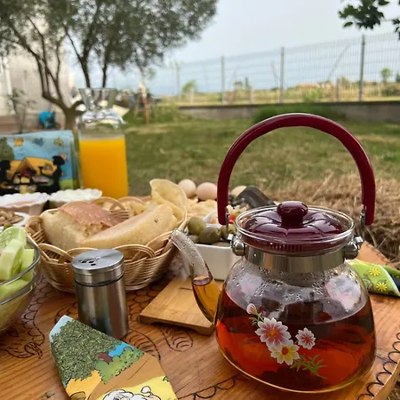 Shkodra Camping Omaraj