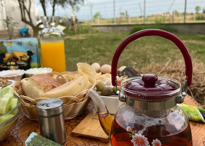 Shkodra Kemp Omaraj