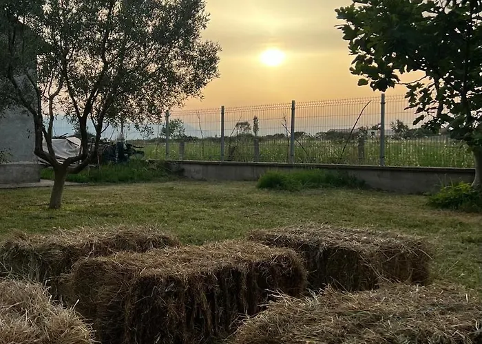 Shkodra Camping Omaraj
